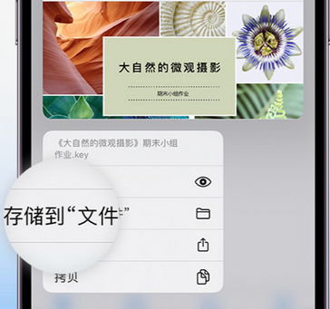 洪雅apple维修中心分享iPhone文件应用中存储和找到下载文件