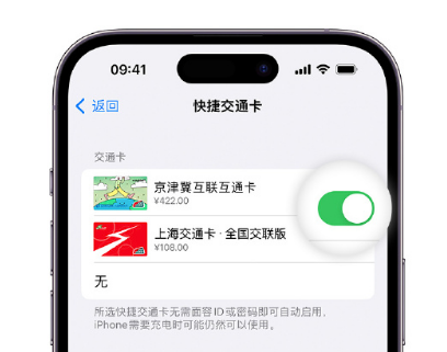 洪雅apple维修点分享iPhone上更换Apple Pay快捷交通卡手绘卡面 