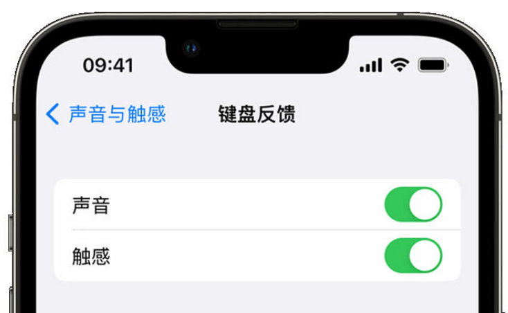 洪雅苹果手机维修分享iPhone 14触感键盘使用方法 