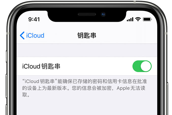 洪雅苹果手机维修分享在 iPhone 上开启 iCloud 钥匙串之后会储存哪些信息 